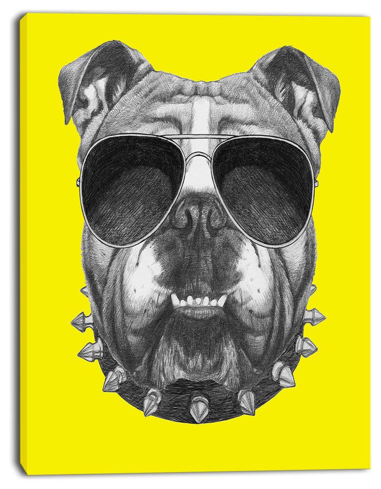 Funny English Bulldog with Collar, Contemporary Animal Art Canvas, 12"x20"