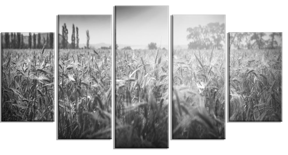 "Black And White Wheat Field" Landscape Wall Art Canvas Print, 5 Panels, 60"x32"