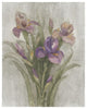 "Purple Iris Garden on Grey" Digital Paper Print by Albena Hristova, 24"x30"