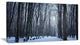 Thick Woods in Winter Forest, Modern Forest Canvas Art, 32"x16"