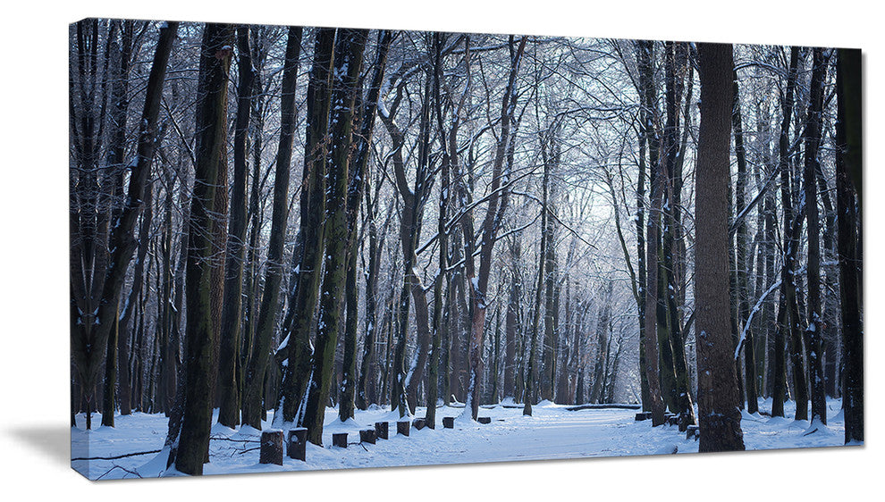 Thick Woods in Winter Forest, Modern Forest Canvas Art, 32"x16"