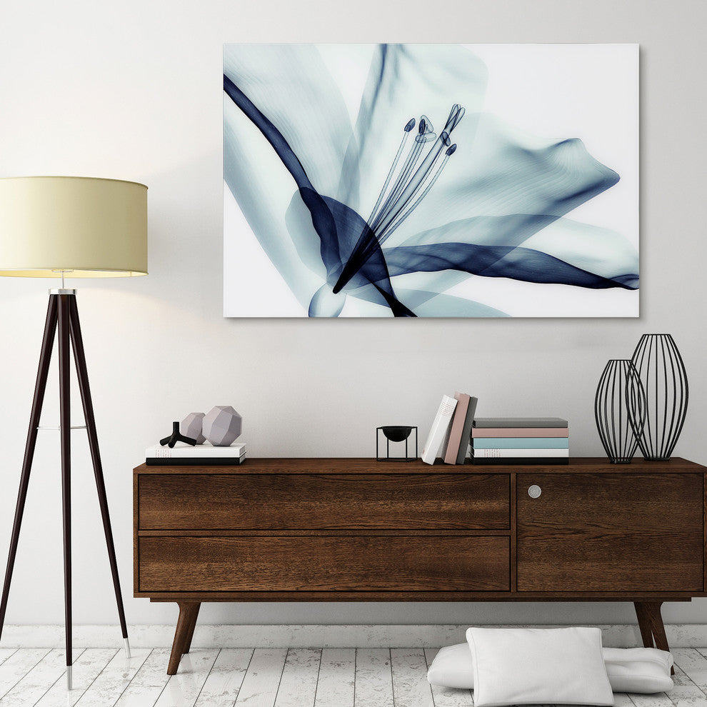 Amaryllis Glass Wall Art Frameless Free Floating Tempered Glass Print 32x48