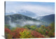 "Broadleaf Forest, Shenandoah National Park, Virginia" Artwork