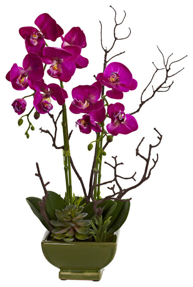 Orchid and Succulent Arrangement