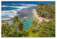 Pierre Leclerc 'Tropical Paradise' Canvas Art, 24x16