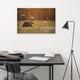 Brown Bear Crossing Marshlands Wildlife Landscape Photo Canvas Wall Art Print, 24" X 36"