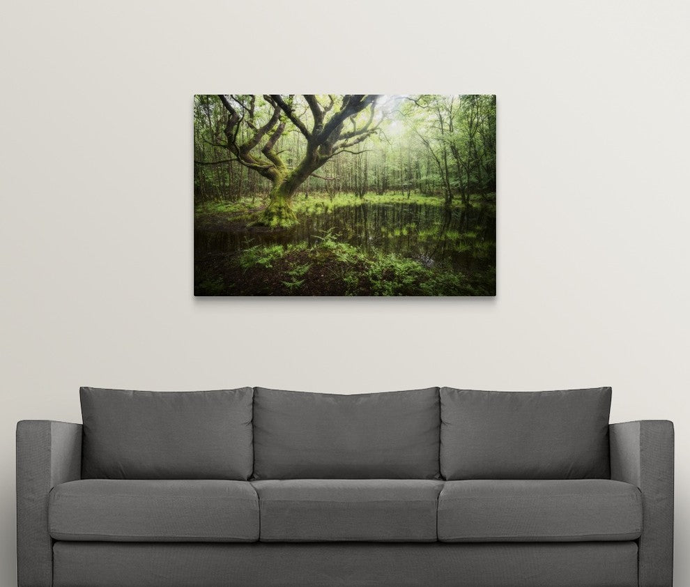 "Hetre de la Marre" Wrapped Canvas Art Print, 48"x32"x1.5"
