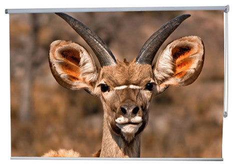 "Buck" Artwork, 5' Shade, Blackout, Right