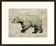 Bear 1, Giclee Reproduction Artwork