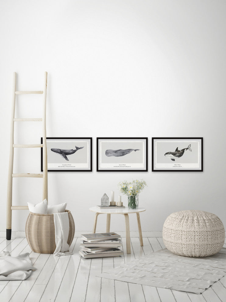 Sperm and Killer Whale Triptych, 3-Piece Set, 45x30 Panels