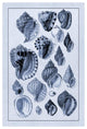 "Shells: Purpurifera (Blue)" Digital Paper Print by G.B. Sowerby, 18"x26"