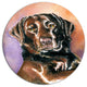 Brown Dog Watercolor, Animal Disc Metal Artwork, 11"