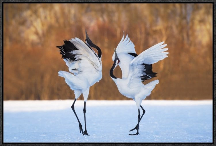 "The Dance Of Love" Framed Canvas Giclee by C. Mei, 25x17"