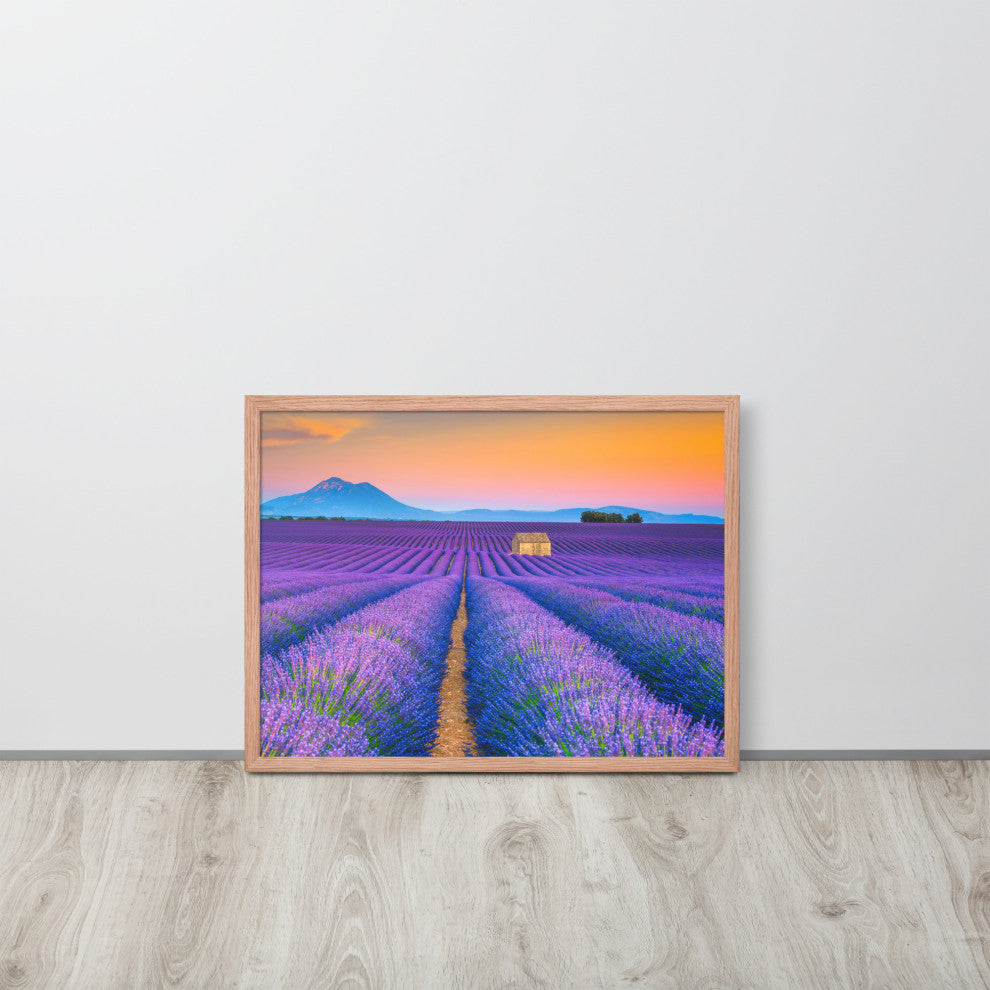 Blooming Lavender Field and Sunset Floral Landscape Framed Photo Wall Art Prints, Red Oak, 18" X 24"