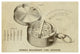 "Buerk's Watchman's Time Detector" Digital Paper Print by Inventions, 42"x29"