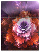 "Abstract Pink Fractal Flower" Digital Metal Wall Art, 3 Panels, 28"x36"