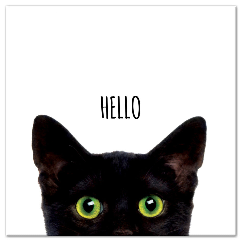 Designs Direct Curious Hello Black Cat 12x12 Canvas Wall Art
