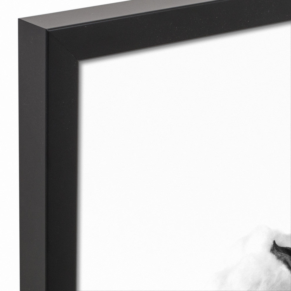 Black and White Cotton Stem 16x20 Black Framed Canvas