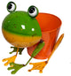 Metal Frog Bucket Shaped Planter Flower Pot Outdoor Garden Decor