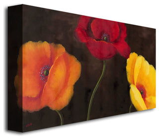 'Orange Red and Yellow' Canvas Art by Rio