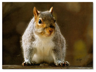 'Smiling Squirrel' Canvas Art by Lois Bryan