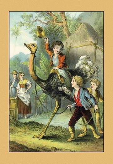 The Swiss Family Robinson: Training the Ostrich - Gallery Wrapped Canvas Art