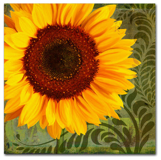 Tina Lavoie 'Summer Sun I' Canvas Art, 18" x 18"