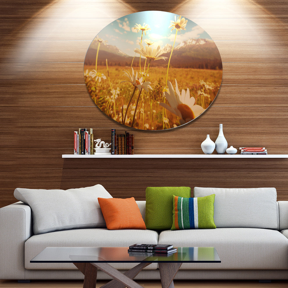 Blooming Chamomiles In Meadow, Flower Disc Metal Artwork, 23"