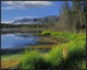 Nutzotin Mountains and Boreal Forest Reflected In Receding Lake, Alaska, 35"x28"