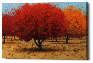 Epic Graffiti "Orange Trees II" Giclee Canvas Wall Art, 40"x60"