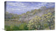 "Trees in Bloom (Arbres en fleurs)" Canvas Giclee by Claude Monet, 22"x14"