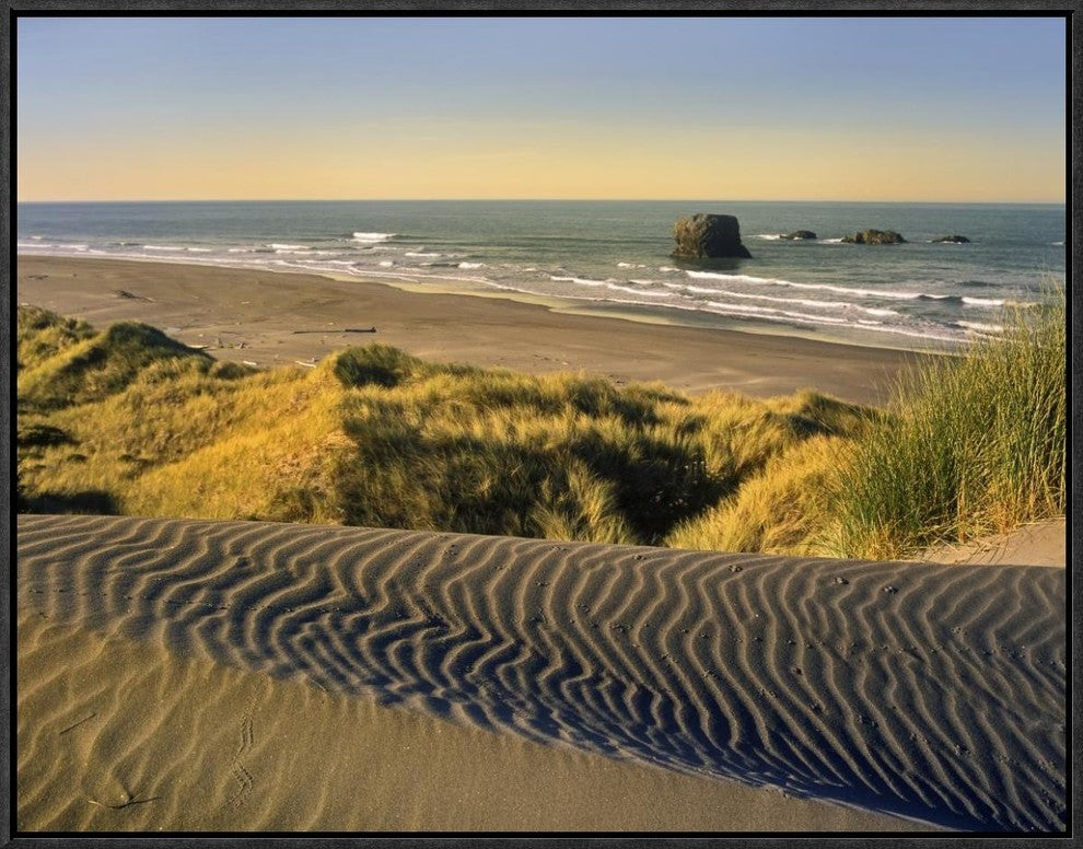 "Coastline, Pistol River Beach, Oregon"  by Tim Fitzharris, 25x19"