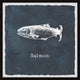 "Salmon in Blue" Framed Painting Print, 24x24