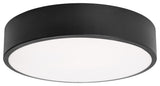 Bailey 12" LED Flush Mount, Black