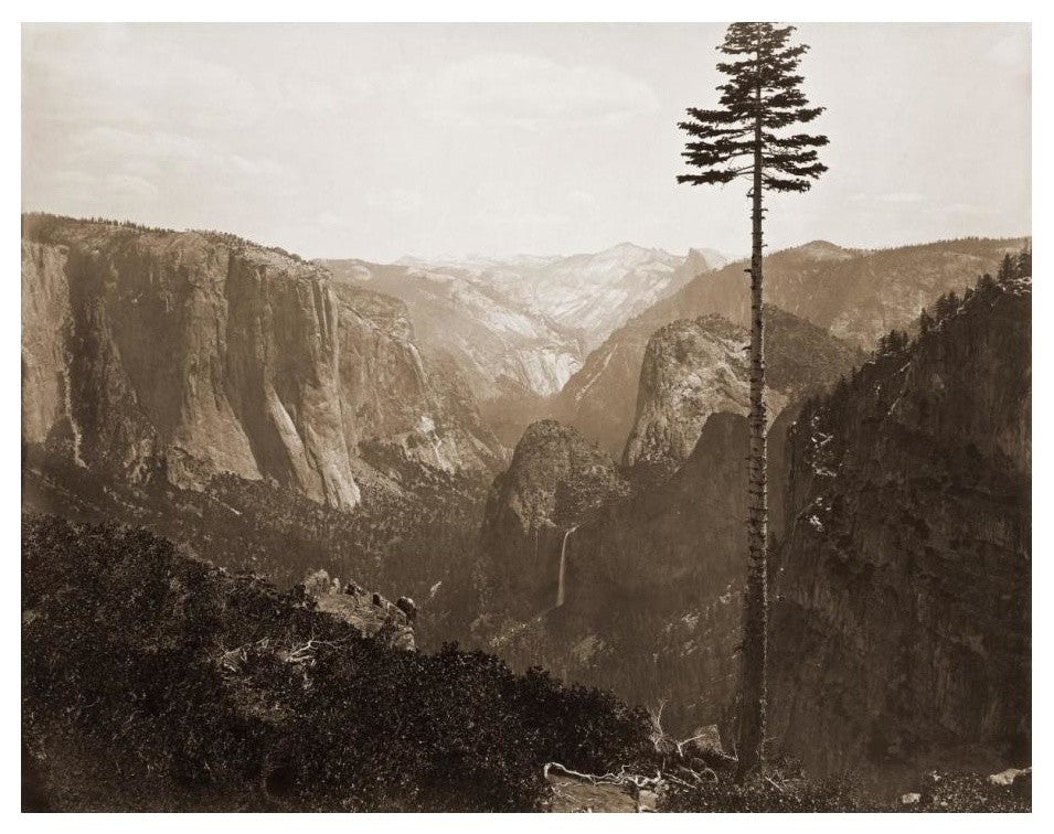 "Yosemite Valley from the Best General View, 1866" Paper Art, 24"x19"