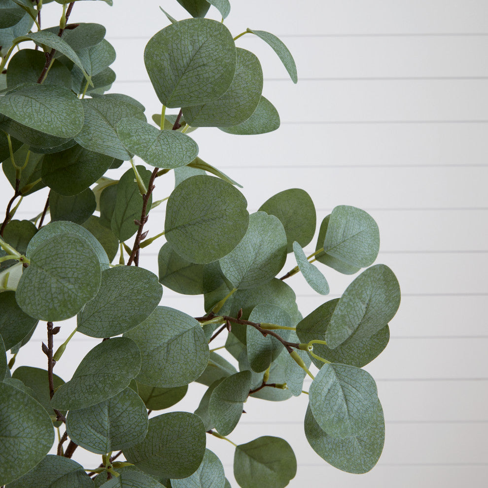 Close-up of foliage; does not show the full product or a lifestyle scene.