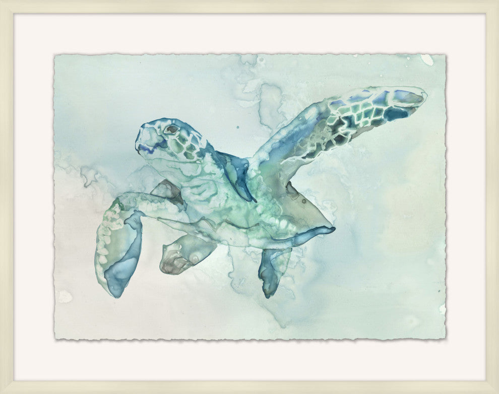 Australian Sea Turtle 2, Giclee Reproduction Artwork