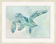 Australian Sea Turtle 2, Giclee Reproduction Artwork