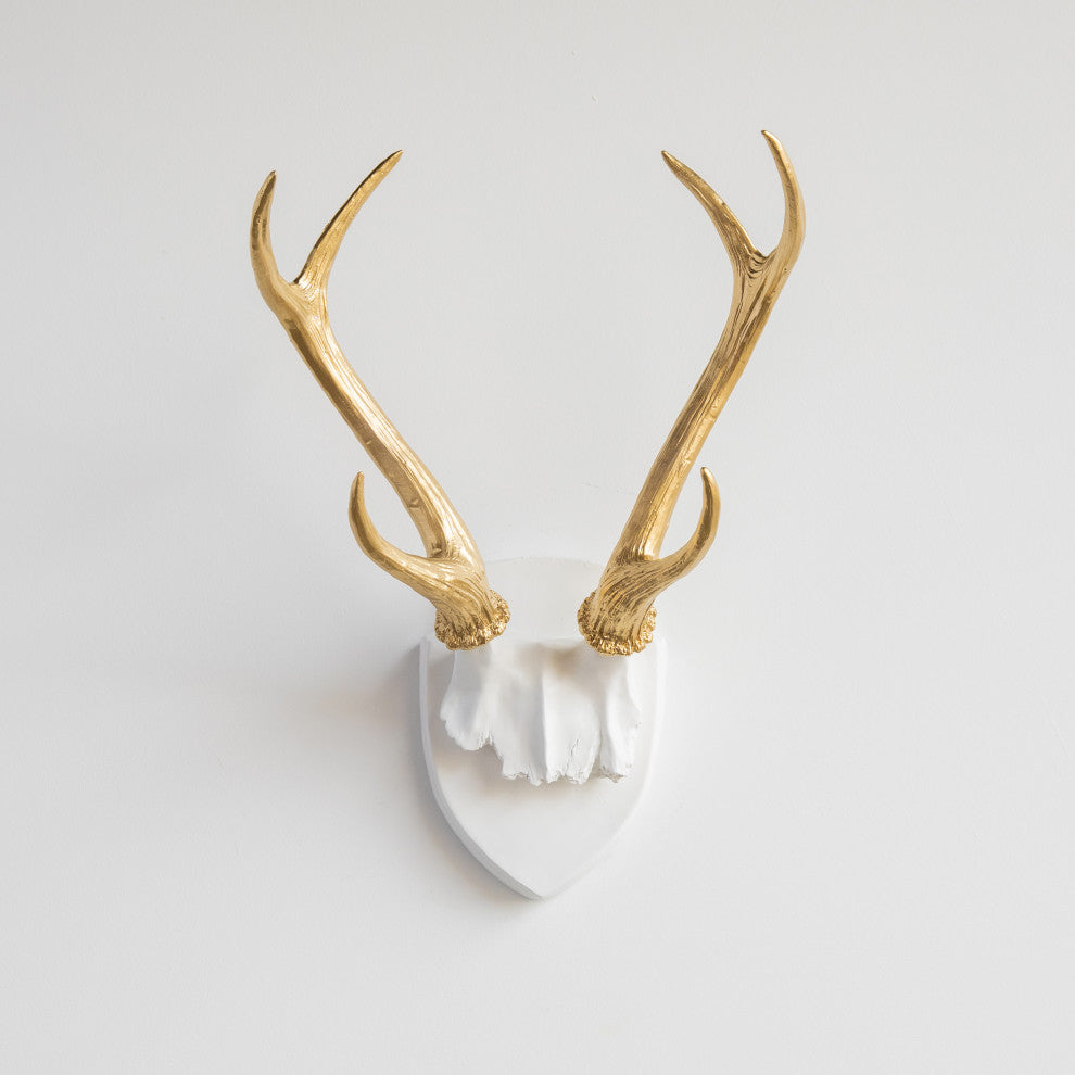 Deer Antler Mount, White Antlers And Plaque, White, Gold
