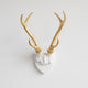 Deer Antler Mount, White Antlers And Plaque, White, Gold