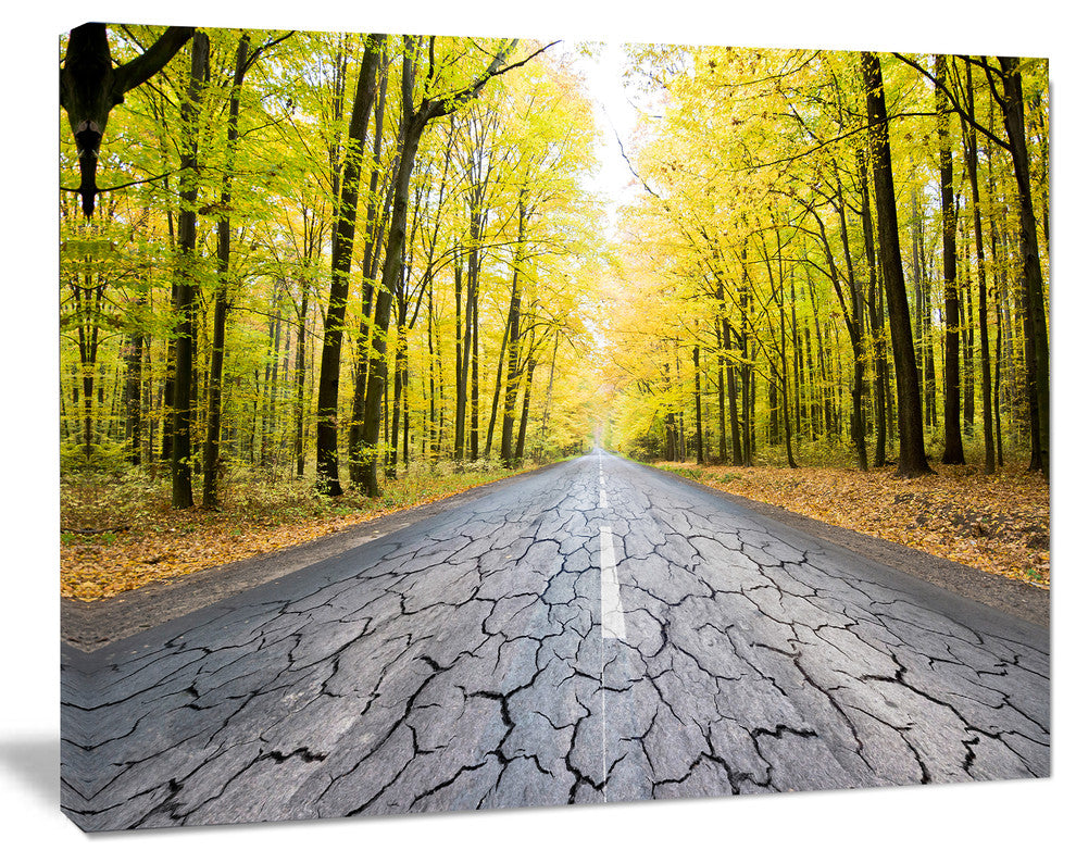 Cracked Road in the Forest, Large landscape Canvas Art Print, 60x40