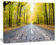 Cracked Road in the Forest, Large landscape Canvas Art Print, 60x40