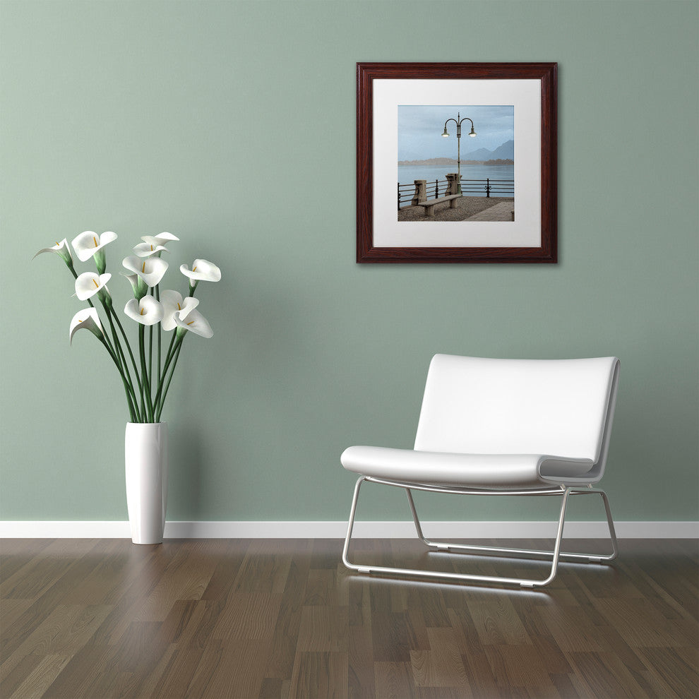 Alan Blaustein ''Lake Vista V'' Art, Wood Frame, White Mat, 11x11