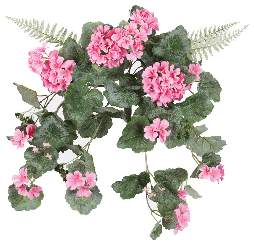 22"  Geranium Hanging Bush-Coral