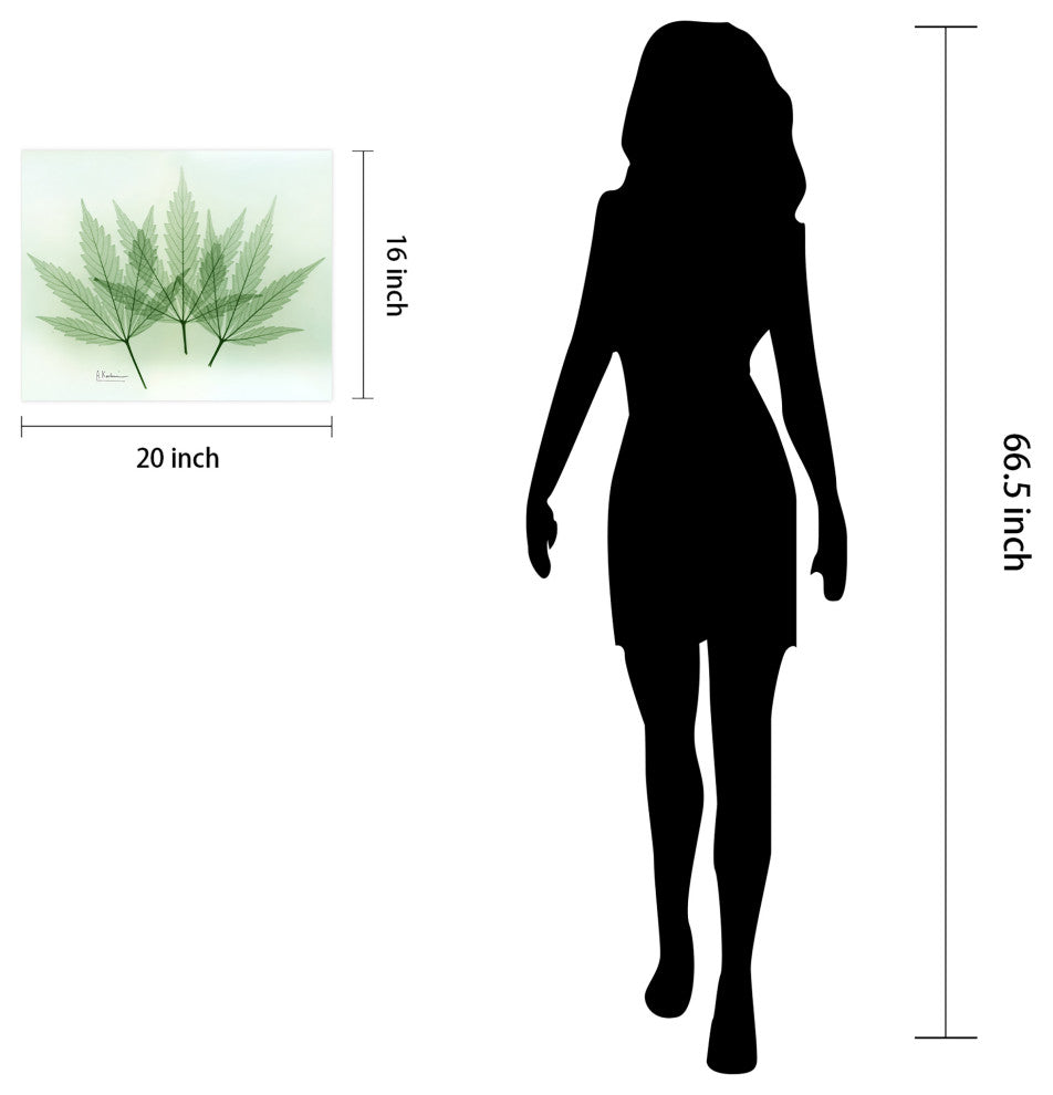 "Green Flower" Frameless Free Floating Panel Graphic Wall Art, 16"x20"