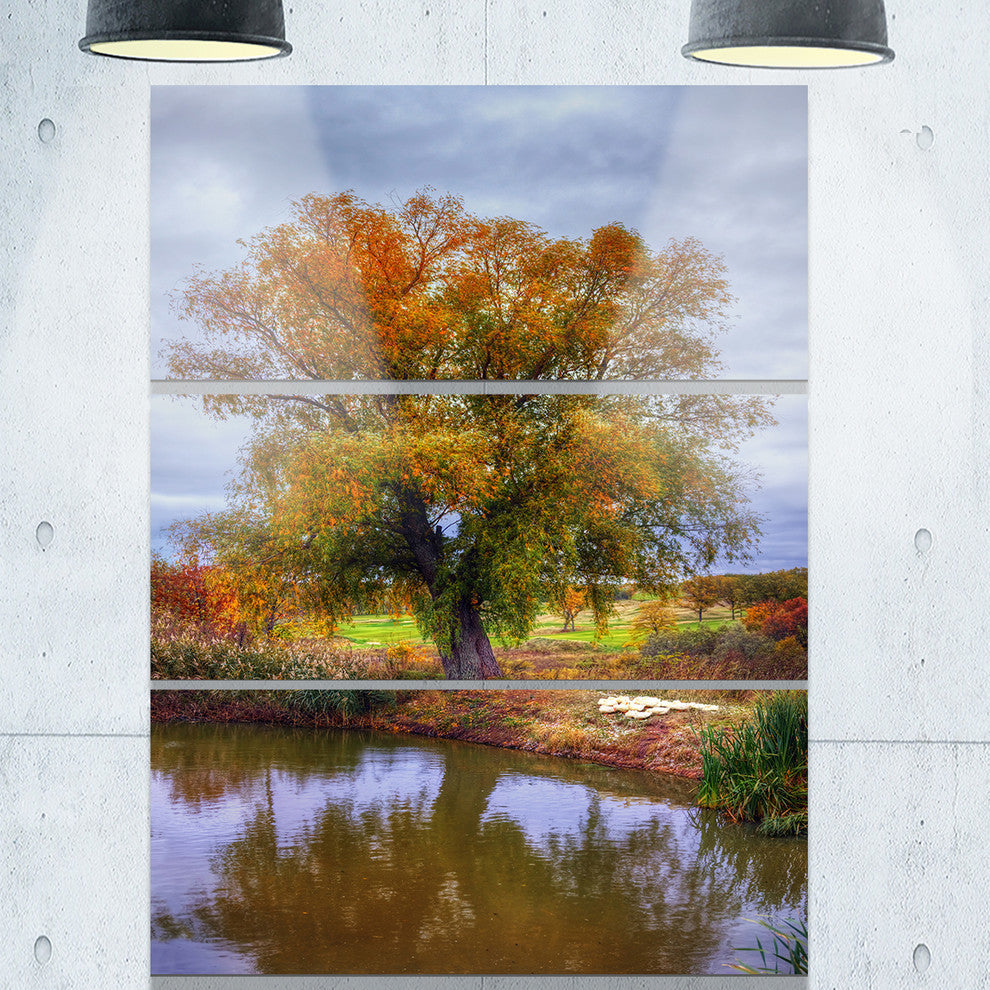 "Willow Near Pond" Photography Metal Wall Art, 3 Panels, 28"x36"
