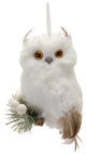 Feathered Owl Ornament, 6-Piece Set(