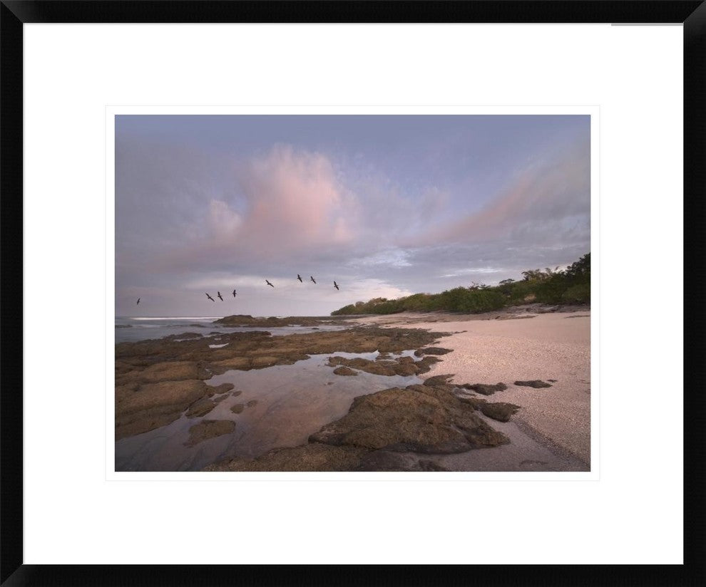 Pelicans Over Playa Langosta, Guanacaste, Costa Rica, 22"x18"