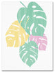 "Monstera IV Bright on White" by Sarah Adams, Canvas Art, 24"x18"