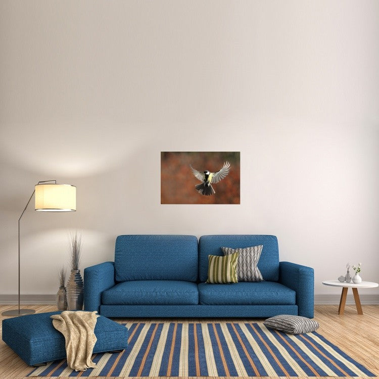 "Fly" Stretched Canvas Giclee by Barre Thierry, 36x24"